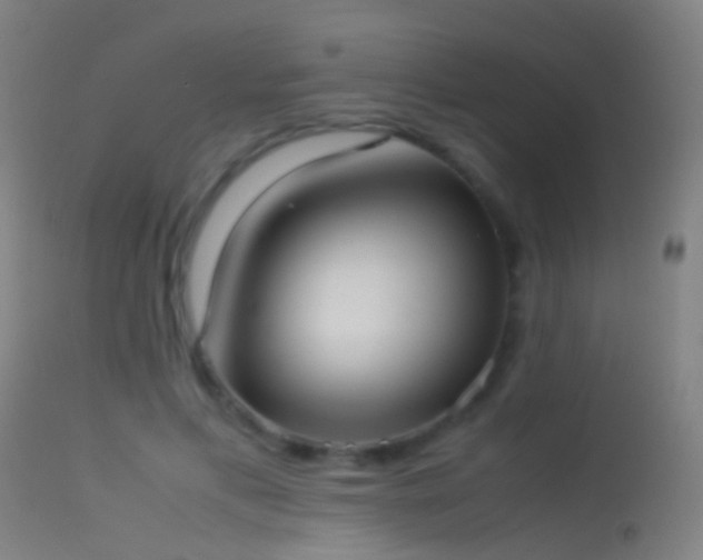 X0000114170597200910151639