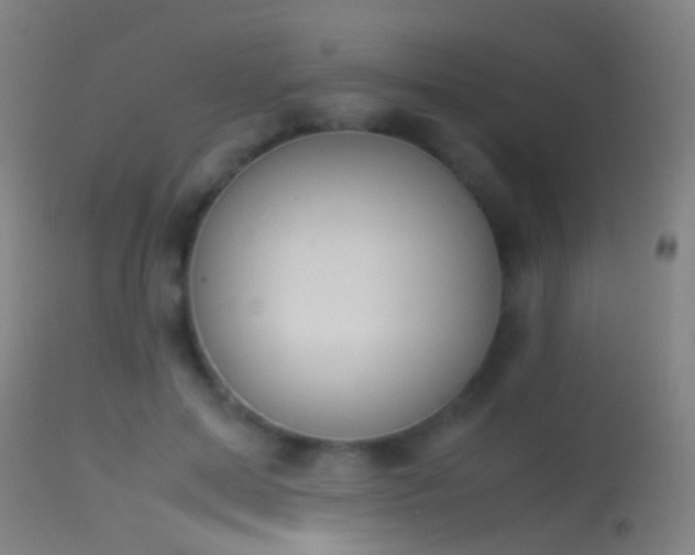 X0000114170599200910151639