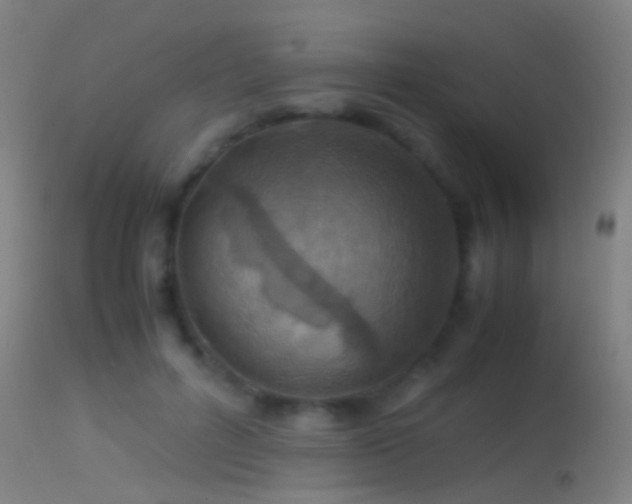 X0000114170600200910151639