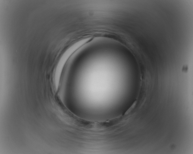 X0000114170601200910151639