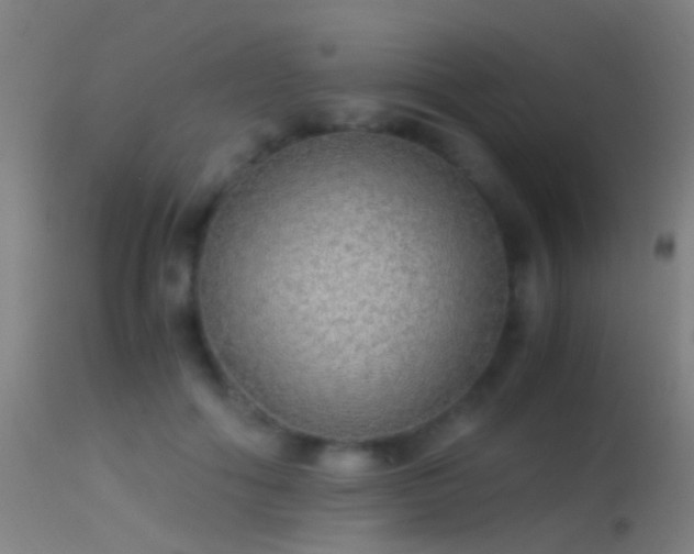 X0000114170602200910151639