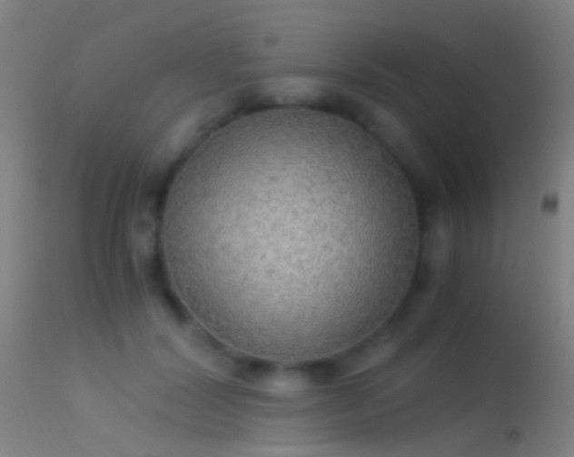 X0000114170604200910151639