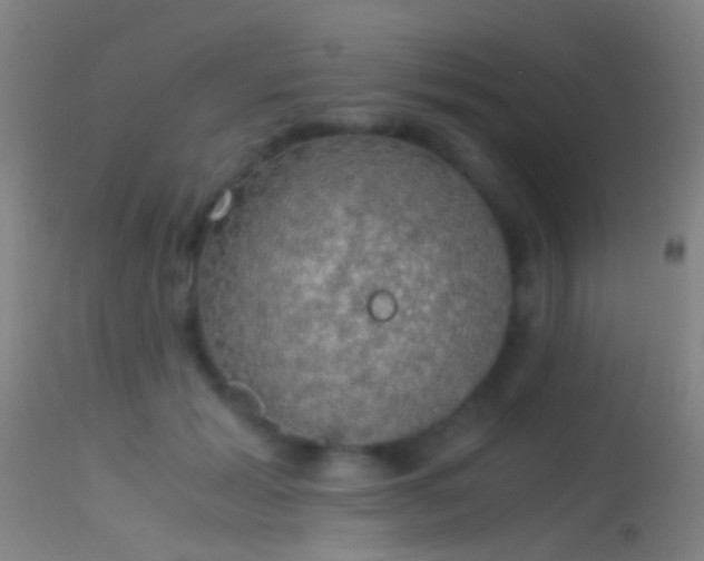 X0000114170605200910151639