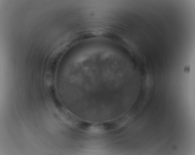 X0000114170606200910151638