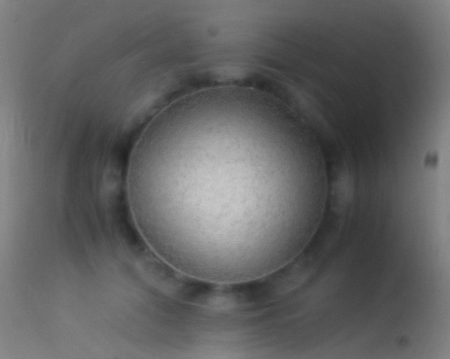 X0000114170608200910151638