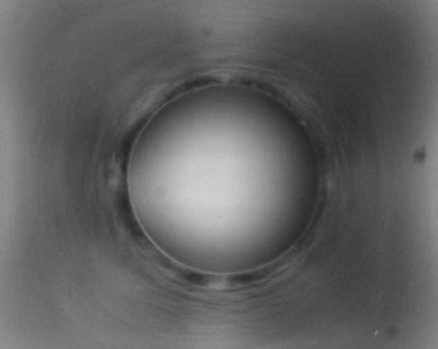 X0000114170611200910151638
