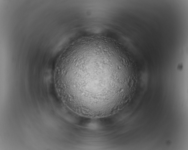 X0000114170612200910151638