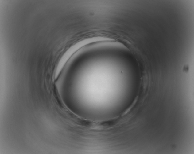 X0000114170613200910151638
