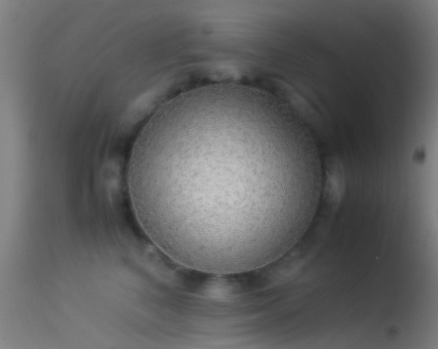 X0000114170616200910151638