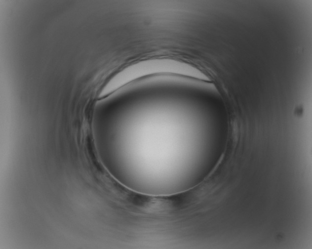 X0000114170617200910151638