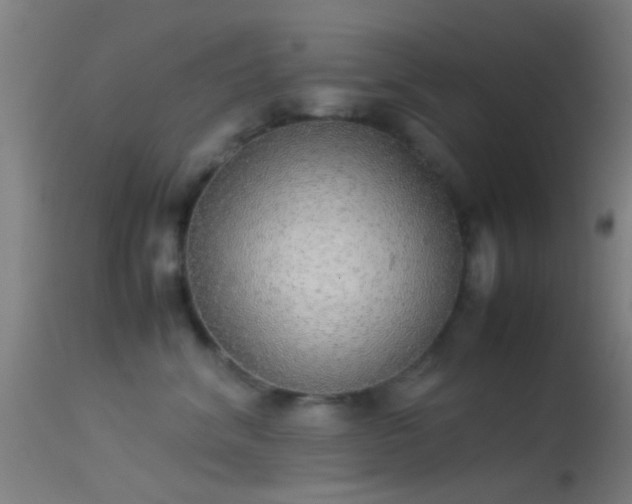 X0000114170620200910151638
