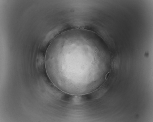 X0000114170623200910151638