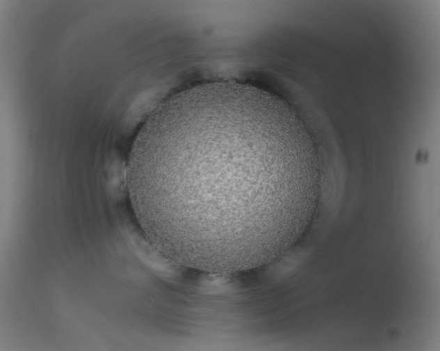 X0000114170624200910151638