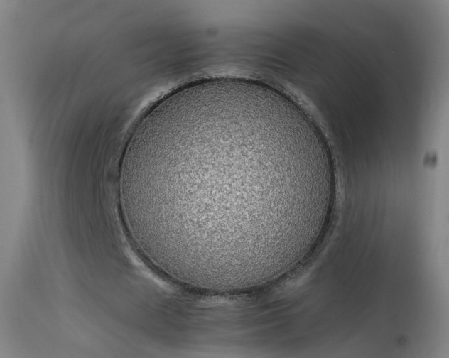 X0000114170625200910151637