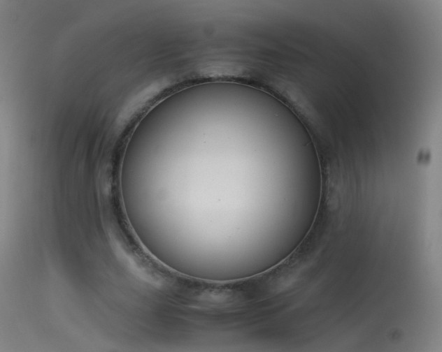 X0000114170631200910151637