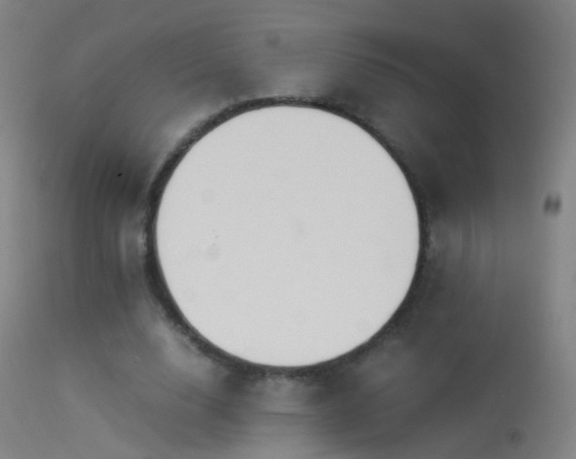 X0000114170632200910151638