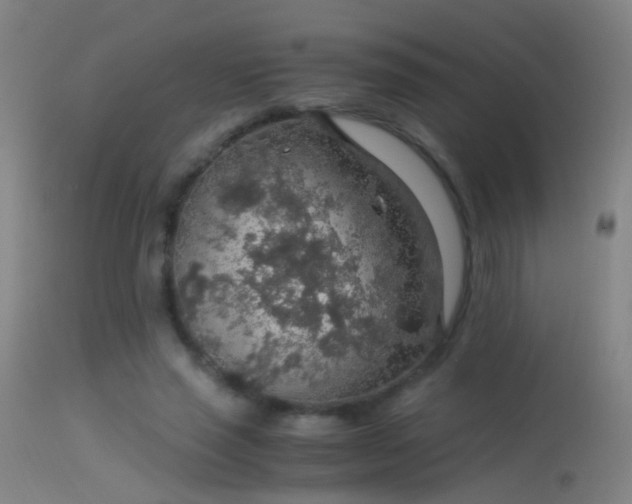 X0000114170637200910151638