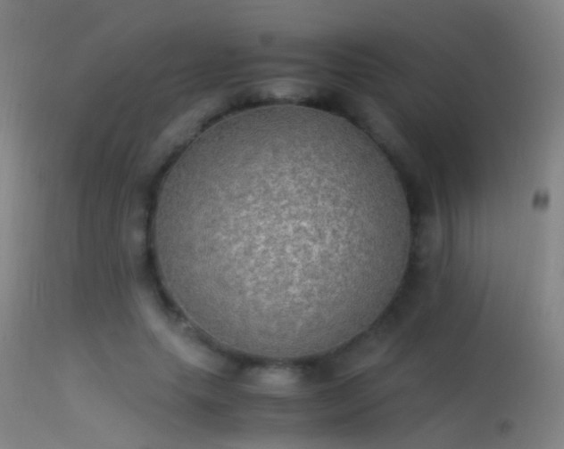 X0000114170639200910151638
