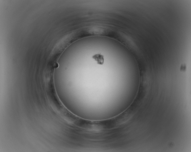 X0000114170645200910151638