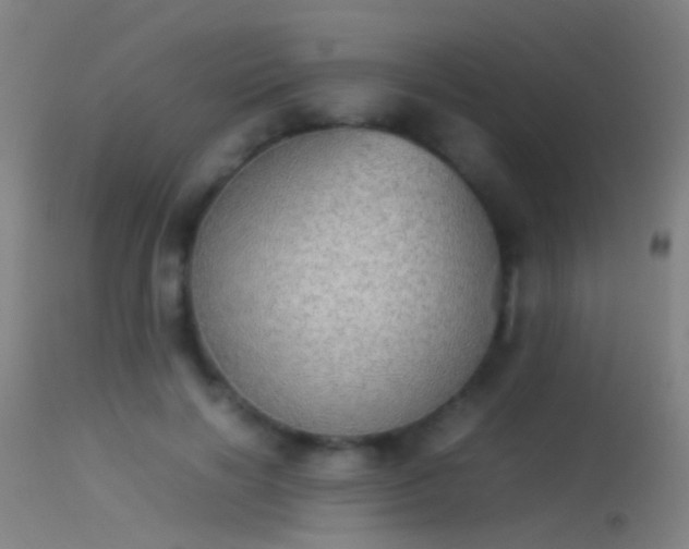 X0000114170646200910151638
