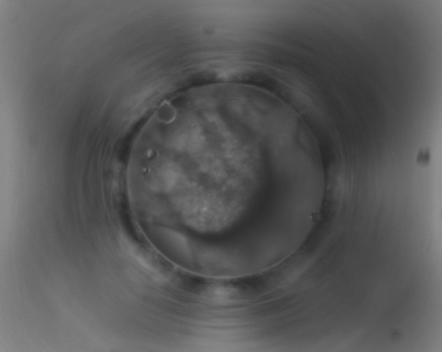X0000114170650200910151638