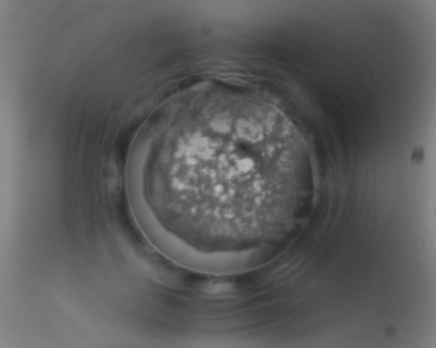 X0000114170651200910151638