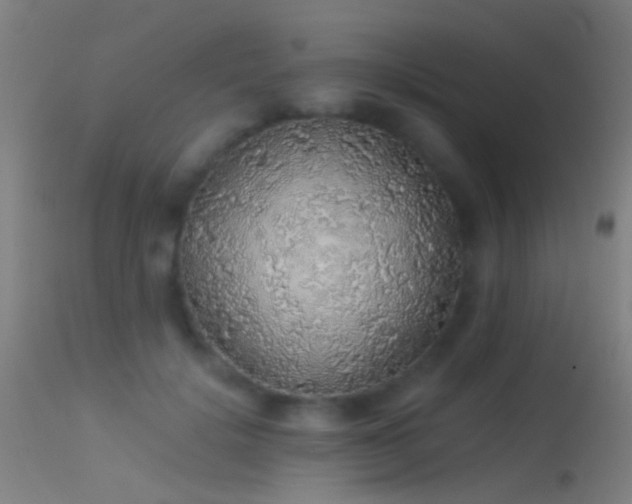 X0000114170652200910151638
