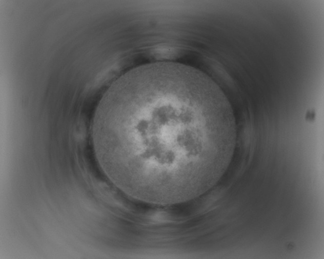 X0000114170655200910151638