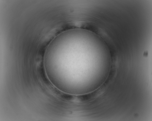 X0000114170656200910151638