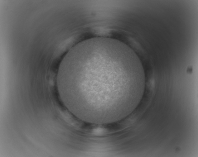 X0000114170658200910151638