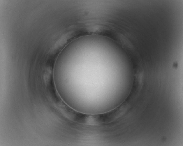 X0000114170660200910151638
