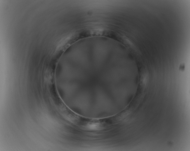X0000114170661200910151638