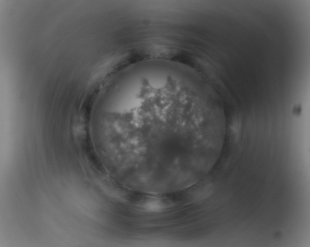 X0000114170663200910151638