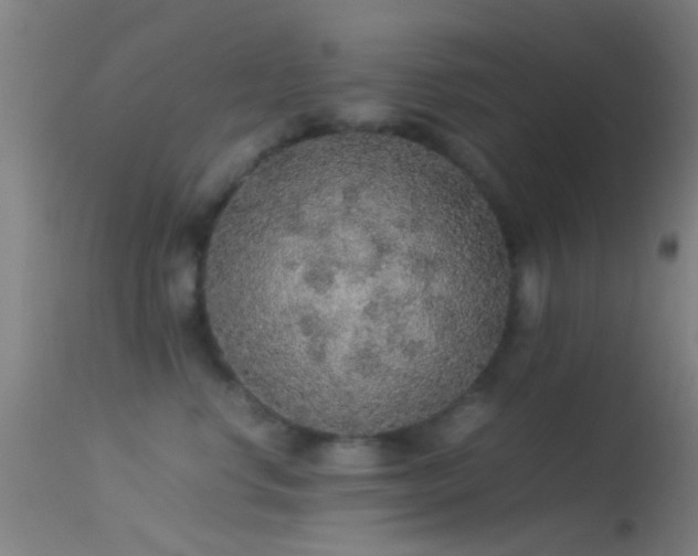 X0000114170668200910151638