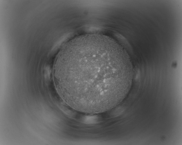 X0000114170669200910151638