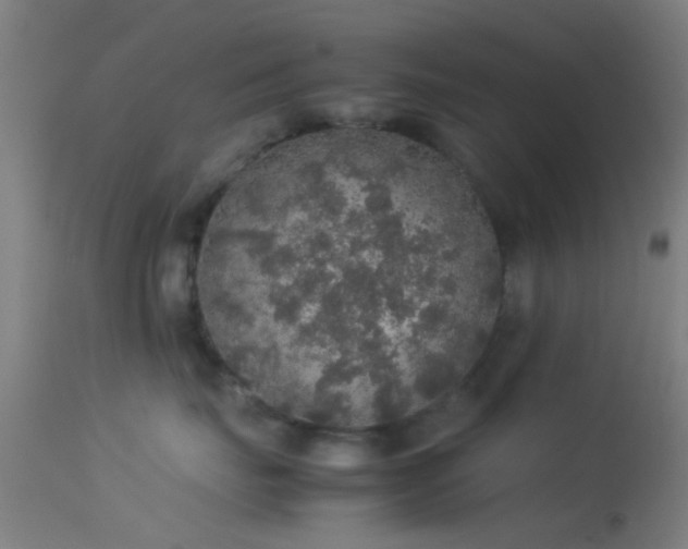 X0000114170671200910151638