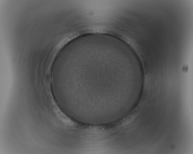 X0000114170673200910151637