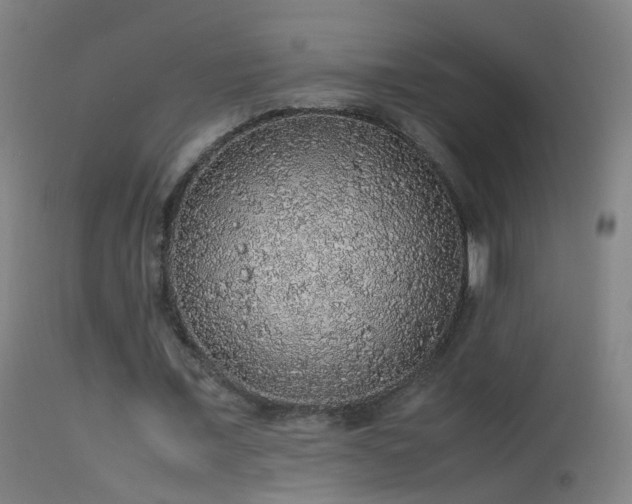 X0000114170675200910151637