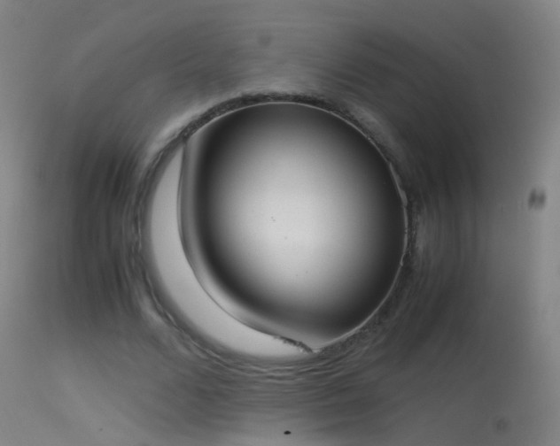 X0000114170680200910151637