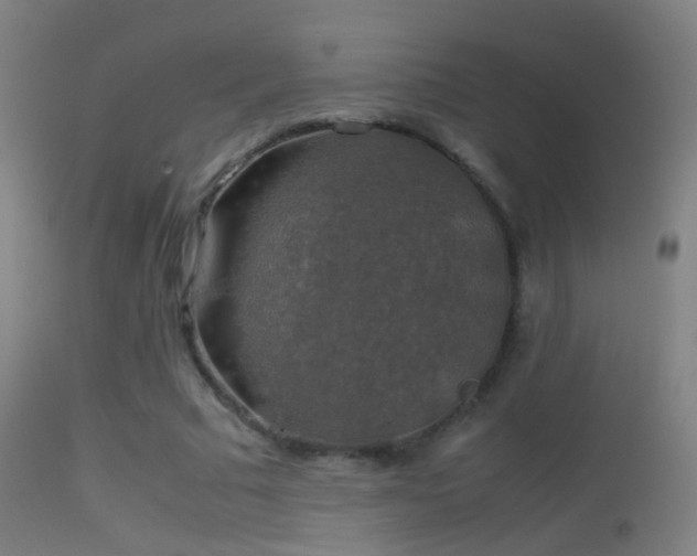 X0000114170681200910151637