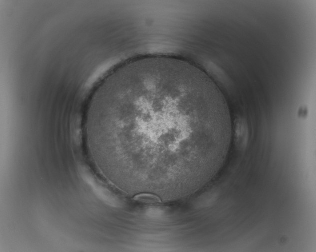 X0000114170684200910151637