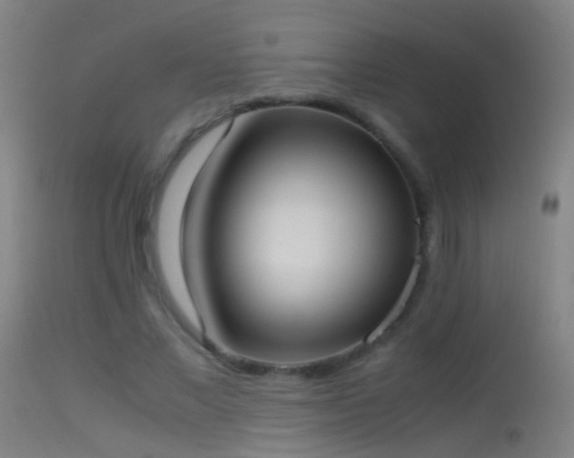 X0000114170685200910151637