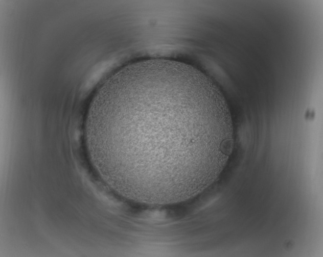 X0000114170687200910151637