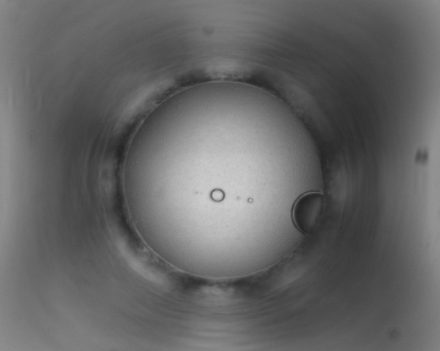 X0000114170690200910151637