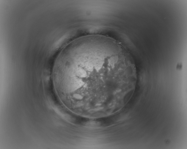 X0000114170691200910151637