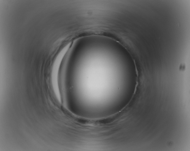 X0000114170693200910151637