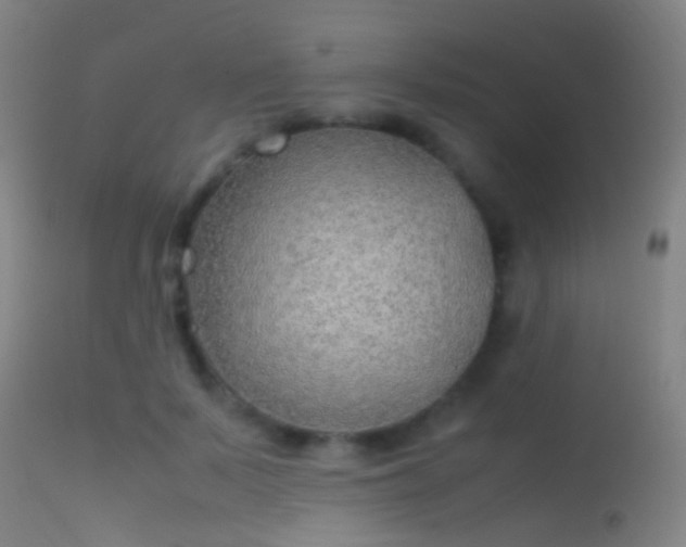 X0000114170695200910151637
