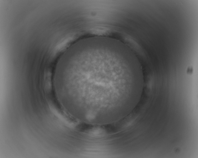 X0000114170696200910151637