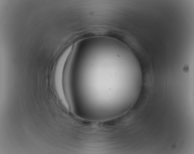 X0000114170697200910151637
