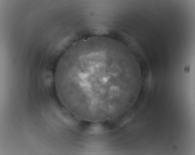 X0000114170704200910151637